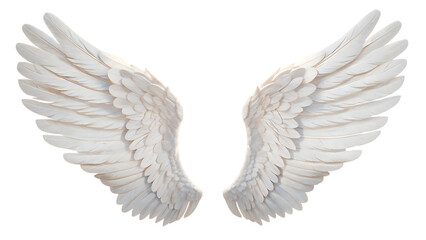 Isolated angel wings on white, a vector illustration of feathered bird wings, evokes a symbol of angelic flight and design.