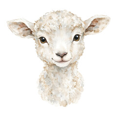 Obraz premium Adorable Cute Baby Sheep Head Face Isolated Hand Drawn Watercolor Painting Illustration