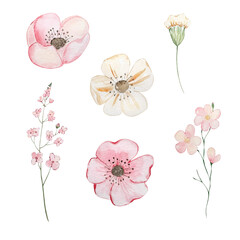 Watercolor spring flowers, pastel floral for design