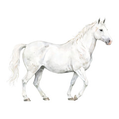 Obraz premium Elegant White Horse Running Illustration Isolated Hand Drawn Watercolor Painting Illustration