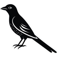 Drongo vector silhouette illustration logo