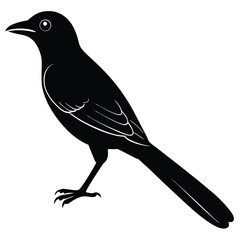 Drongo vector silhouette illustration logo