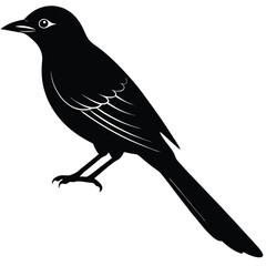 Drongo vector silhouette illustration logo