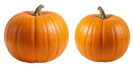 Isolated Two Orange Pumpkins for Halloween