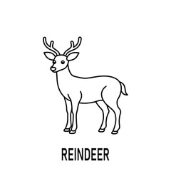 Fototapeta premium Reindeer Vector Illustration in Festive and Whimsical Style.