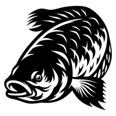Stylized Black and White Illustration of a Freshwater Crappie Fish