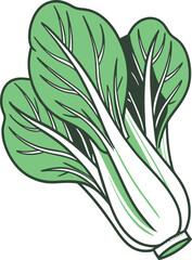 Fresh Green Bok Choy Vector Illustration with Vibrant Leaves and White Stems - Perfect for Healthy Eating and Cooking Projects