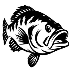 Monochrome depiction of a largemouth bass fish in illustrative style