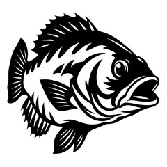 Detailed black and white illustration of a freshwater fish facing right