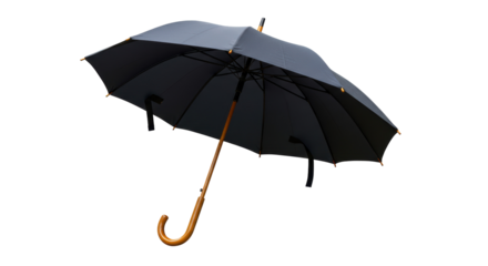 Isolated Classic Black Umbrella with Wooden Handle and Metal Frame