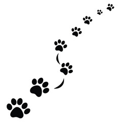 A winding trail of black paw prints marches diagonally across a clean white surface.