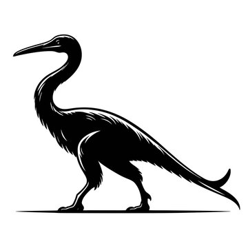 Pterodaustro Silhouette, Full Body Vector Design, White Background, Simple Illustration, Animal Art
