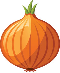 onion osolated on white background