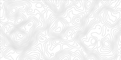 Abstract topography pattern lines sea map area space geometric strip grid line topo map technology modern design white background.	