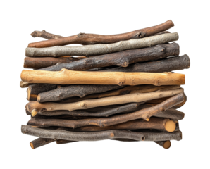 Gathering natural sticks for crafting in a rustic isolated on transparent background