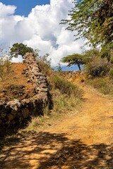 path on the camino real in colombia