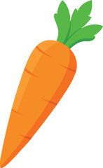 carrot vector illustration