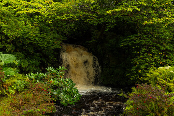 Dunvegan Castle overlooks the Isle of Skye’s coast, surrounded by manicured gardens, exotic...
