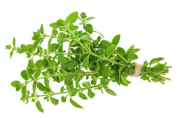 Oregano or marjoram leaves isolated on white background. Top view. Flat lay