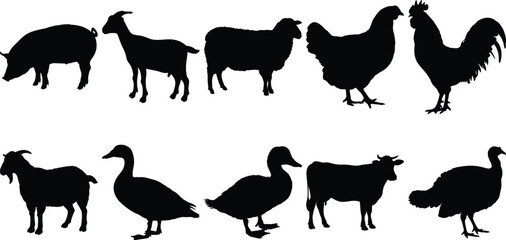 Farm Animals Silhouettes Collection Goat Sheep Pig Chicken Duck Cow Turkey Rooster Graphic Design Elements