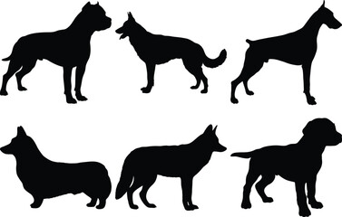 Six Dog Breed Silhouettes Collection Perfect for Design Projects Dog Silhouettes German Shepherd Doberman Pinscher Pit Bull Corgi