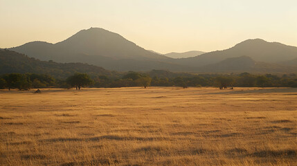 Obraz premium Golden Plains And Mountains At Sunset