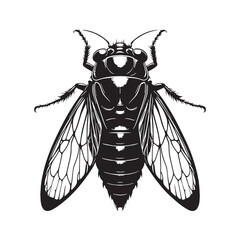 Symbolic Cicada silhouette, an icon of life cycles – Cicada illustration – Minimalist Cicada vector – Insect silhouette

