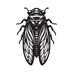 Vibrant Cicada silhouette, a summer soundmaker in nature – Cicada illustration – Minimalist Cicada vector – Insect silhouette

