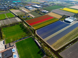 Aerial footage shows colorful tulip fields, greenhouses, and canals stretching across the flat...