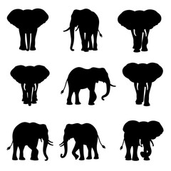 elephants silhouettes vector