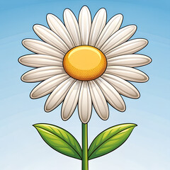 camomile on blue background