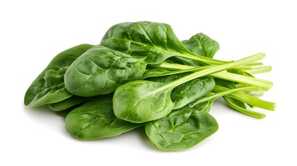 Obraz premium A bunch of fresh, vibrant green spinach leaves isolated on a white background. The leaves are plump and healthy, showcasing their rich color and texture.