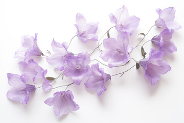 Beautiful floral arrangement of delicate purple blossoms isolated on white background