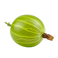 Green Gooseberry Shows Transparent Background,  Close-up Fruit Image with Stem,  Perfect for Design Projects.