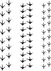 roster goose dove steps animals birds trace vector