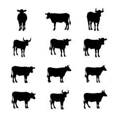 Set black and white cows, farm animals collection
