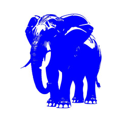 Obraz premium blue elephant icon