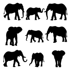Elephants silhouettes, Set elephant silhouettes

