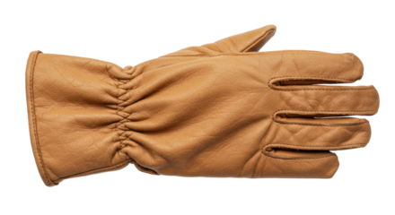 Isolated Leather Glove Protective Wear Work Gear