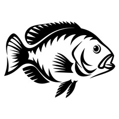 Striking monochrome illustration of a fish with detailed fins and scales