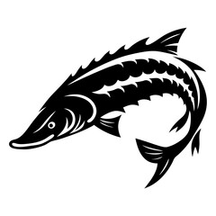 Stylized black and white illustration of an adult sturgeon fish