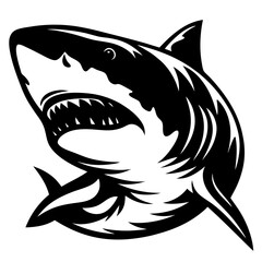 Bold monochromatic illustration of a great white shark with an open mouth