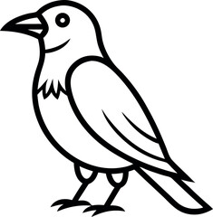 vector illustration of a Bird