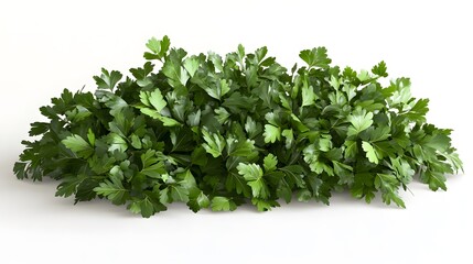 Obraz premium A lush bunch of fresh parsley leaves isolated on a white background. Perfect for culinary or health-related projects.
