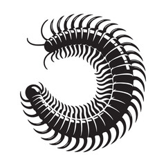 Compact Millipede silhouette, curled in defensive elegance – Millipede illustration – Minimalist millipede vector – Insect silhouette

