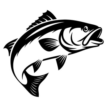Detailed illustration of a leaping bass fish in black and white graphic