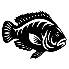 Monochrome illustration of a tilapia fish with distinctive fin structure, perfect design
