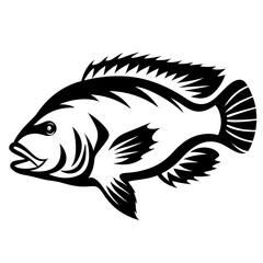 Bold graphic illustration of a tilapia fish in black and white