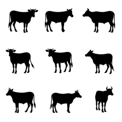 silhouettes of animals