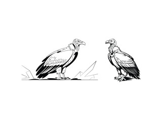 Fototapeta premium Vulture Silhouette Vector Set